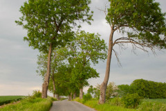 Straße nach Kamionek Wielki