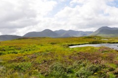 _DSC4368-pano