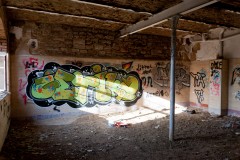 _DSC5361