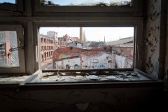 _DSC6551
