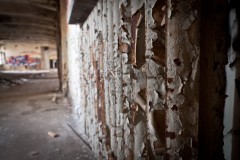 _DSC7100