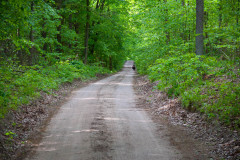 Waldweg nach Nikolaiken