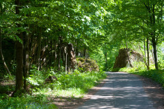 Wolfsschanze