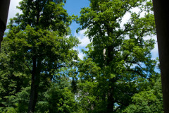 Park Sztynort