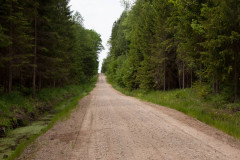 Schotterstrecke in der Rominter Heide