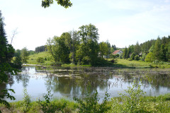 Zwischen Banie Mazurskie und Goldap